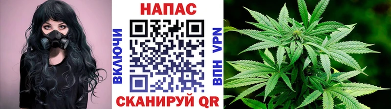 Названия наркотиков Ртищево Галлюциногенные грибы Канабис A PVP