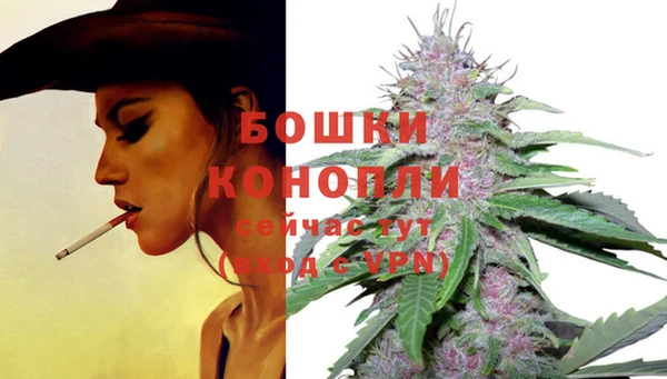 трава Новокубанск