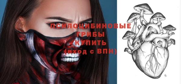 PSILOCYBIN Новодвинск