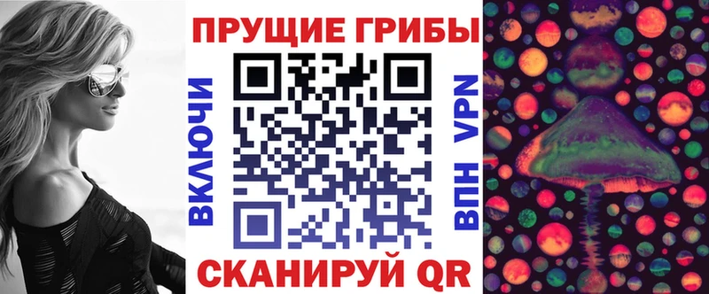 сколько стоит  Ртищево  Галлюциногенные грибы Magic Shrooms 