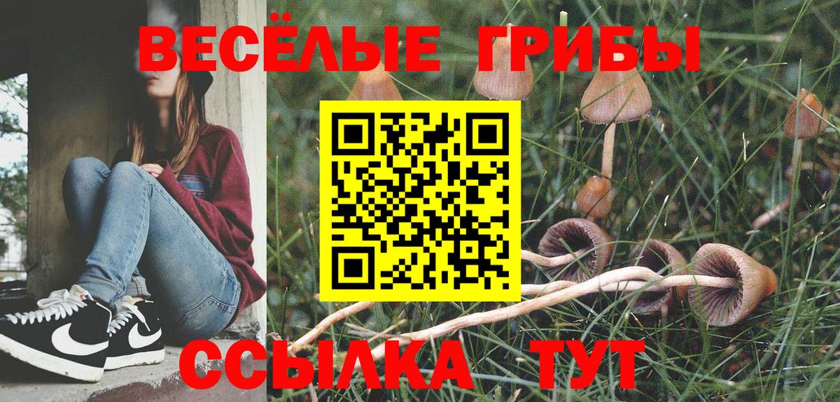 Псилоцибиновые грибы мицелий Ртищево