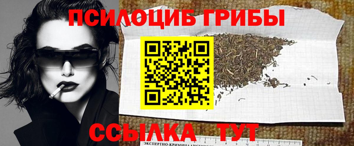 Псилоцибиновые грибы мухоморы  купить наркотик  Ртищево  Вход с VPN 