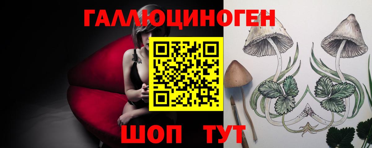 Псилоцибиновые грибы ЛСД  Ртищево  наркотики  Галлюциногенные грибы Cubensis 